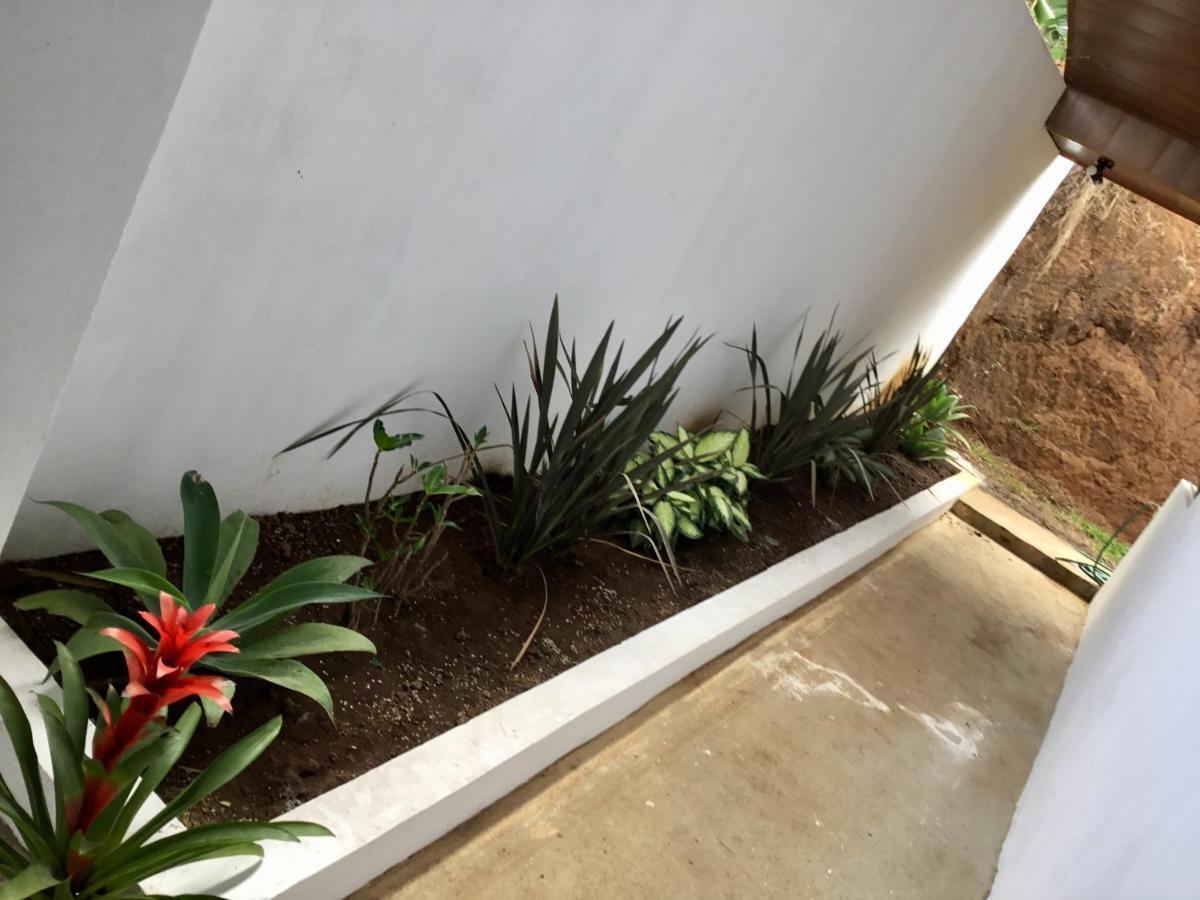 Brand New House Alajuela Near The Airpor Hotel Ngoại thất bức ảnh
